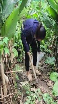 A Mother's Hard Work to Feed Her Orphan Children ❤️🌱 #villagelife #usa #motherlove #baby