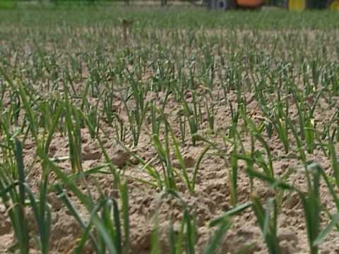 Stomp Aqua Presentation