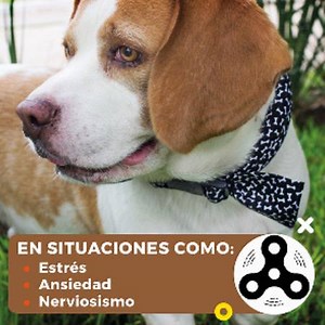 Prueba nuestros collares, para ayudar a relajar a tu mascota!! | Calming Collars Mexico