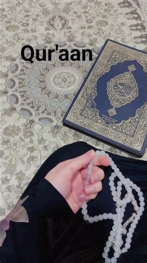 Quran urdu translation
