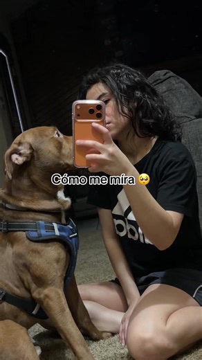 Keyring (@keyringsalina416)’s videos with why? why? Exciting cute BGM - NaruIDEA