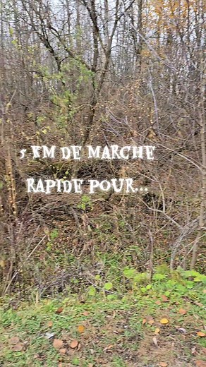 pour simplement m'apporter du bien-être, pour penser à moi, à ma santé physique et mentale, pour prendre une pause et respirer tout en regardant la nature s'endormir, qui retourne à leur racines ainsi à leur base la terre pour survivre en douceur à cette noirceur et ce froid ! si toi aussi tu prendrais un peu de temps que nécessaire chaque jour pour ta santé 😘 #viesaine ##conscience #positif #marche #nature | Sophie Fournier - Les petits soins de Sophie