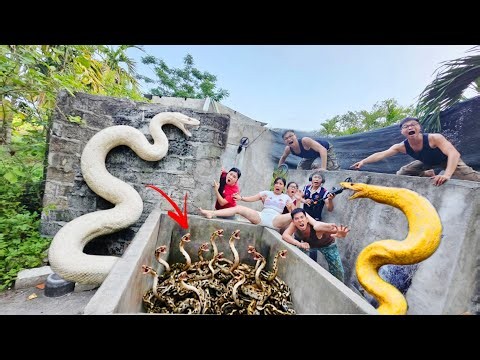 Brave Soldier Uses High-Tech Snake Detector to Locate Giant Python Nest
