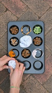 Muffin tins filled with toys and tasty treats make for an easy DIY puzzle feeder, providing a cheap and simple way to stimulate your pups inquisitive mind 🐶 Enrichment (like this) is vital for an animal's well-being. It provides mental and physical stimulation, prevents boredom and can help reduce stress and anxiety ❤️ So why not give it a shot and make your doggies next dinner as enriching as it is delicious 😋 ️ #Enrichment #DIY #PetHealth #Dogs | RSPCA NSW