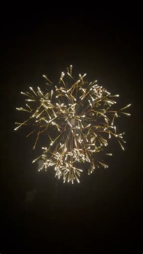 Awesome shell ! #fireworks #pyrotechnica