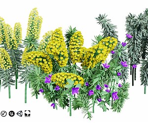 ArtStation - Gopher Spurge 3D Model | Resources