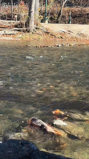 4 comments | John Ventura on Reels | Facebook