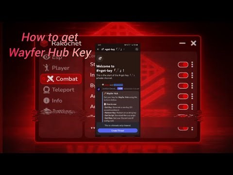 How to get key for Wayfer Hub script (discord needed) 
