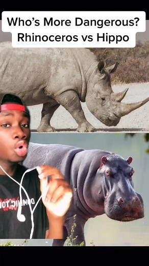 44K views · 1.5K reactions | Bringing this series back #nature#wild #animals | Casual Geographic | Facebook