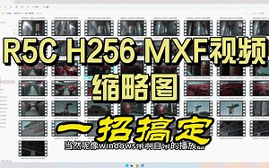 R5c视频MXF、H265缩略图一招搞定