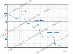 Weight Loss Chart - Weight Tracker, Printable PDF (US Letter, LBS) Get in Shape for Christmas - Etsy