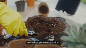 Best Tips For Garden Mulching