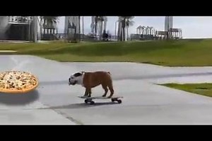 13 reactions | A highly effective training method. | Godfather's Pizza | Facebook