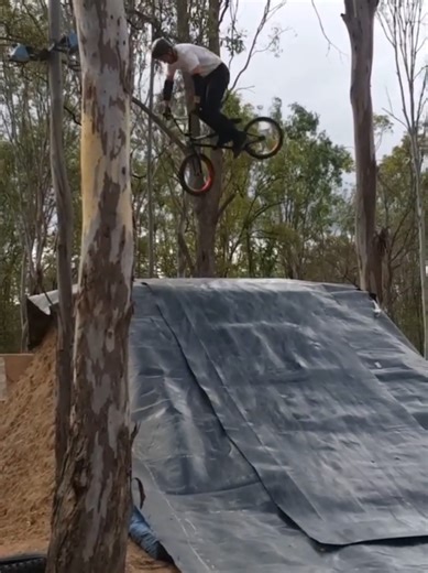 People think the cameraman was in the wrong spot but the truth is I just wanted to hide behind the tree 🤫 #bmx #freestylebmx #tailwhip #dirtjump #resi