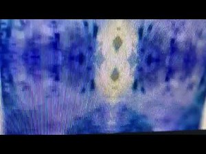 Zoboomafoo Theme Song in G Major Mirror Top