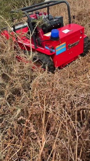 Can the Mantis Handle Bracken and Gorse? | Lake District Work Footage