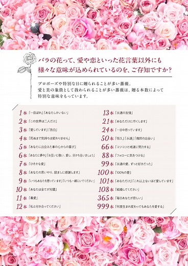 バラの花言葉：本数や色に込められた意味とは？