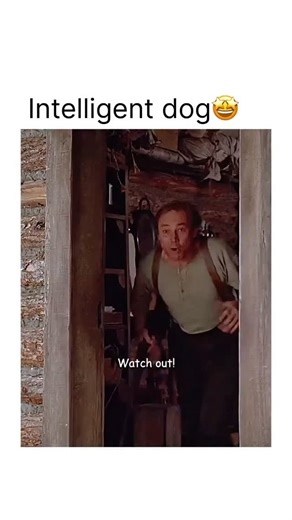 Note’s Diary on Instagram: "A wild soul, a young prospector, and a frontier that demands respect.⁠ 🎬 About: White Fang (1991)⁠ In the Klondike gold rush, Jack Conroy arrives in Alaska carrying his father’s dream — and meets a fierce wolf-dog whose journey from survival to loyalty mirrors his own. Together they face nature, cruelty, and the challenge of trust in a rugged land. Written by Jack London, this adaptation shows that the wildest hearts can find a home. ([Vikipedi][1])⁠ 🎭 Genre: Advent