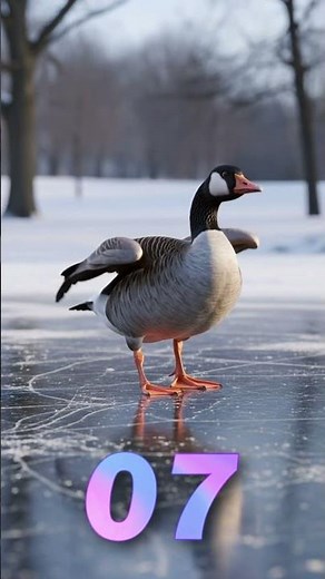 Tell Me You See It… This Goose Is Dancing 🧊 🕺