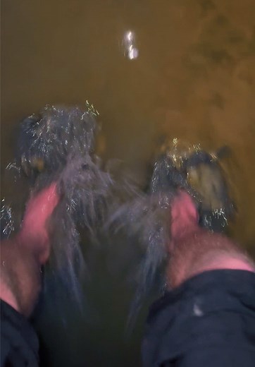 Caleb (@calebplatillero)’s video of delilah