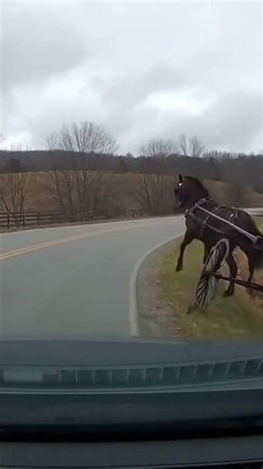 Life without engines 🐎