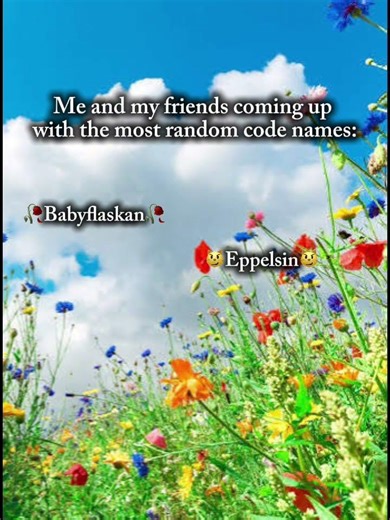 Code names