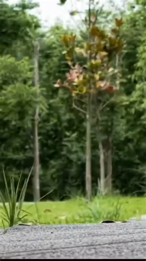 Ride farther, faster, smoother. Meepo boards are built for power, range, and real-world durability. | Meepoboard.net