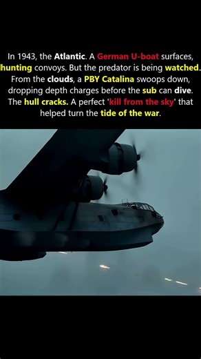How One Plane Turned the Battle of the Atlantic in 1943 #history