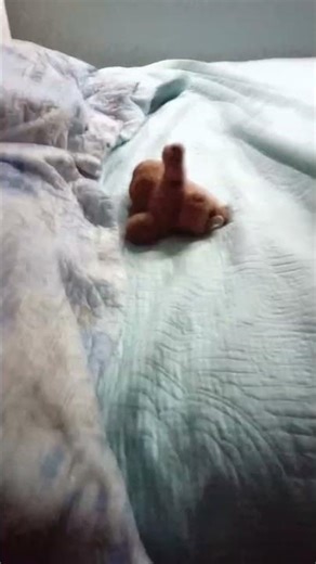 SCP 096 Unity remake MLF V2 Cosplay