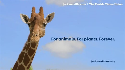 Jacksonville's zoo gets a new name, branding. See the reveal in a new commercial