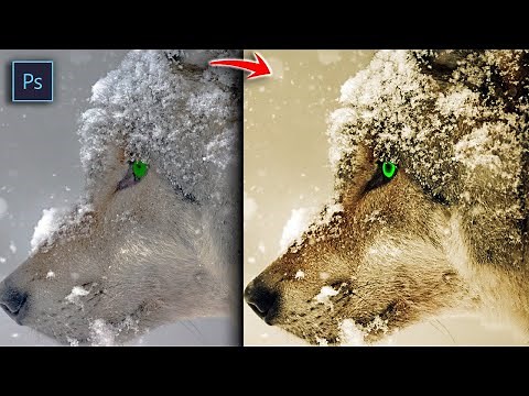 How To: Sepia Tone Effect In Photoshop (2 Min) | Sepia Effect