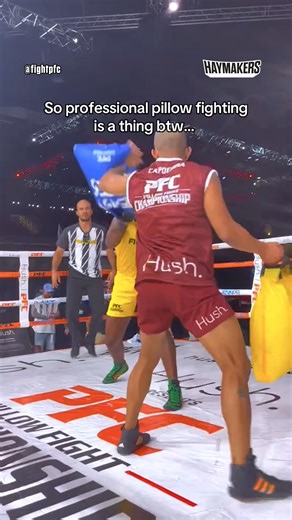 The Most Chaotic Pillow Match Ever. Thhis match had it all. via PFC - Pillow Fight Championship #karate #mixedmartialarts #muaythai #mma #martialarts #boxing | Haymakers