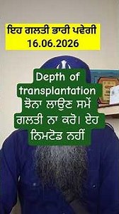 Depth of transplantation ਝੋਨਾ ਲਾਉਣ ਸਮੇਂ ਗਲਤੀ ਨਾ ਕਰੋ ਏਹ ਨਿਮਾਟੋਡ ਨਹੀਂ ਹੈ।#agriculture #jhona #nematode