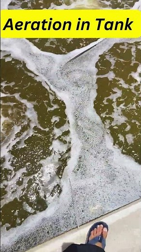 Good Aeration in Fish, Shrimp, Prawn Farming | Key Element of the Success