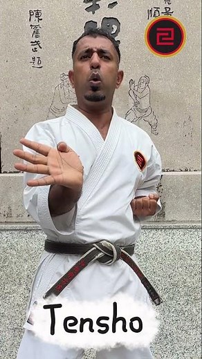 Tensho Kata Traditional Okinawan Gojuryu Karate #higaonnasensei #gojuryu #karate #tensho #strong