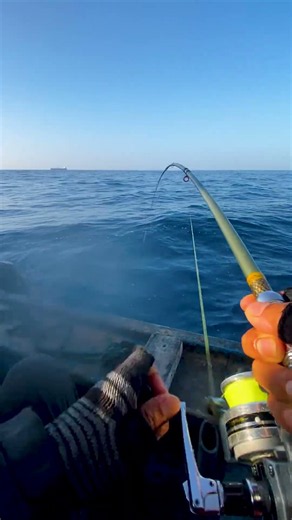 🐙 **SĂN BẠCH TUỘC GIỮA BIỂN | Thành quả khiến ai cũng hài lòng!Quy Nhon Fishing