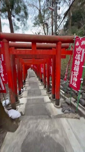 佐助稲荷神社⛩️ #佐助稲荷神社#SasukeInari#鎌倉#Kamakura#神社巡り#御朱印#パワースポット#出世稲荷#千本鳥居#白狐#鎌倉散歩#赤い鳥居#源頼朝#古都#癒やし#鎌倉旅