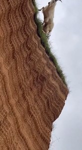 Crocodile tried but failed | Chris And Jasmin