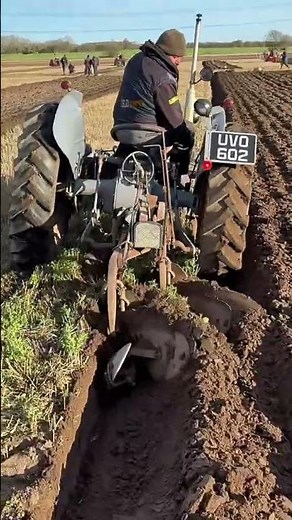 Grey Ferguson Tractor at Practice Ploughing Day 🚜 | Classic Farming Action