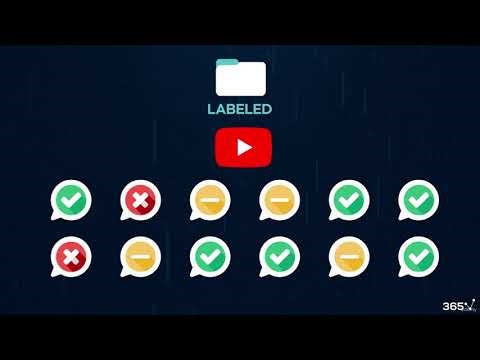 Labelled and unlabelled data in Ai