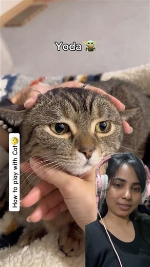 Funny Yoda Cat Prank #prank #funny #funnyprank #viral #trending #pranks #scared #haha #usa #fyp