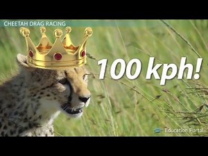 What Is Acceleration?