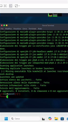 Standard initial Steps (Terminal Commands Path) #parrot #parrotsecurity #os