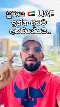 ඩුබායි 🇦🇪UAE ඉන්න අයට සහ ලංකාවේ පවුල් වල අයට විශේෂ පණිවිඩයක්.🤝#abudhabi #iloe #uae