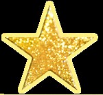 Sylvain Leduc | Velvis Enterprises | The Best Elvis Tribute Artists | Join Us