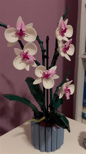 LEGO Botanical Builds and Ocean Waves