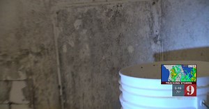 Action 9 investigates low restaurant fines following inspections