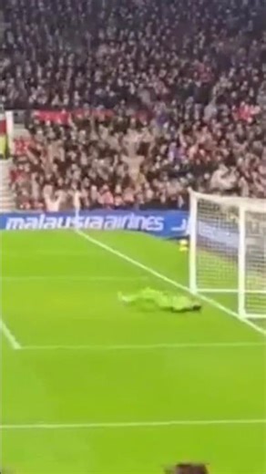 Zirkzee Goal Man Utd vs Wolves #manutdhighlights #manutdnews #footballhighlights