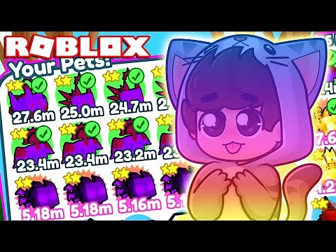 PETS de HEAVEN RAINBOW y RANGO MAXIMO HACKER en PET SIMULATOR X (Roblox)