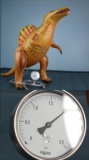 Overinflating the 53-Inch Spinosaurus from Jet Creations
